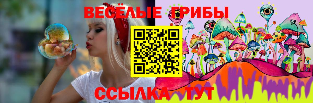 Химки  как найти наркотики  Вход с VPN  Псилоцибиновые грибы GOLDEN TEACHER 
